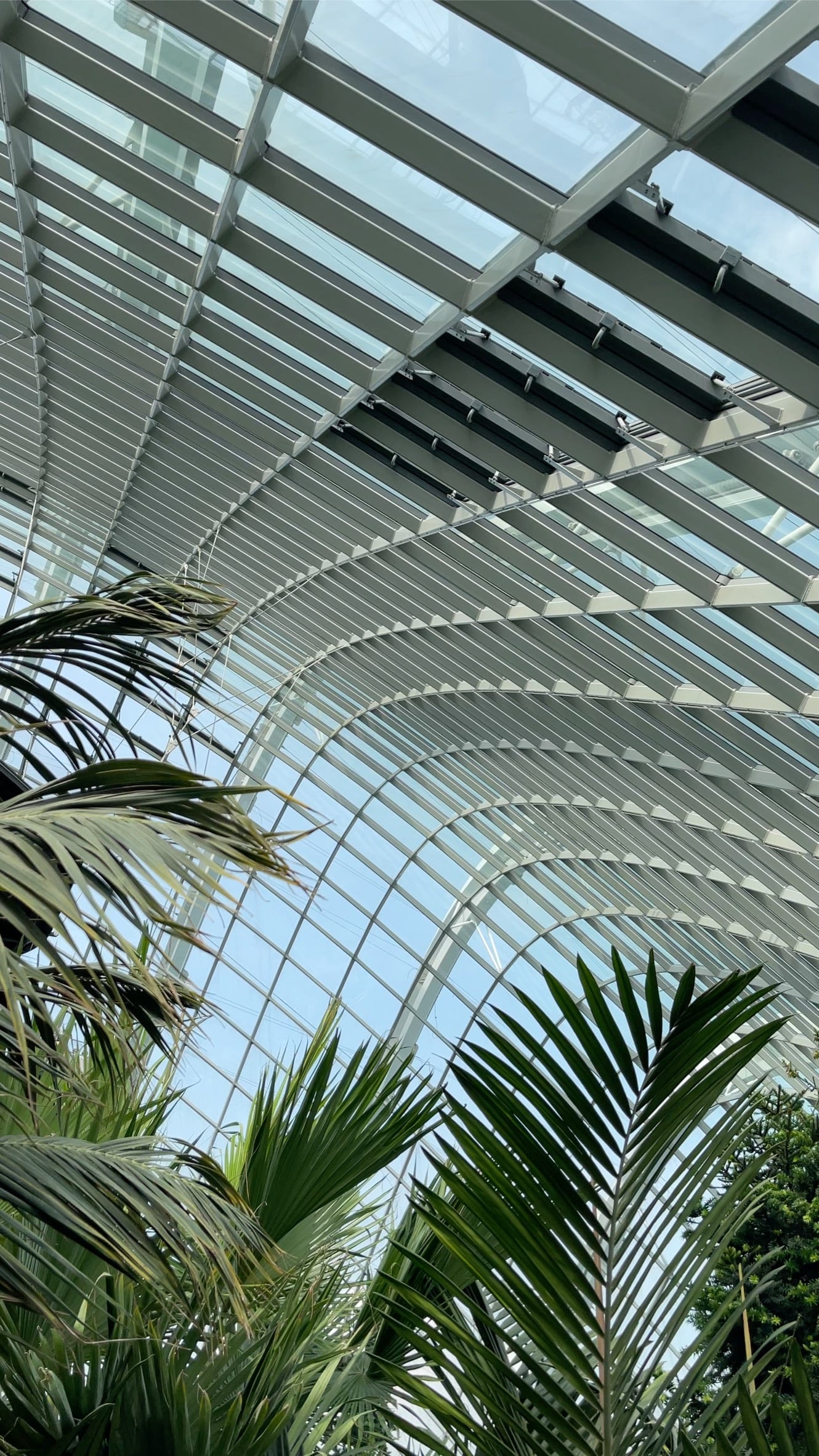 Cloud Forest Dome