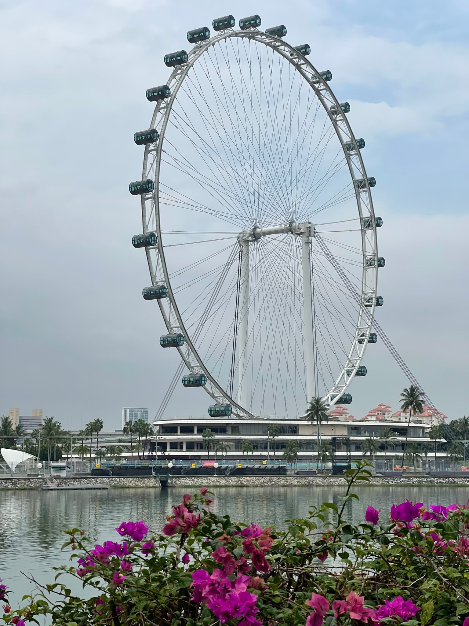 Gardens by the Bay